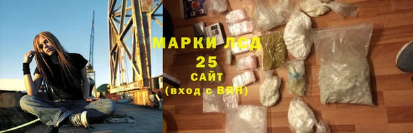 PSILOCYBIN Алзамай