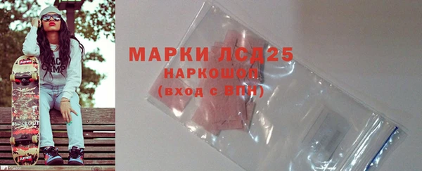 PSILOCYBIN Алзамай