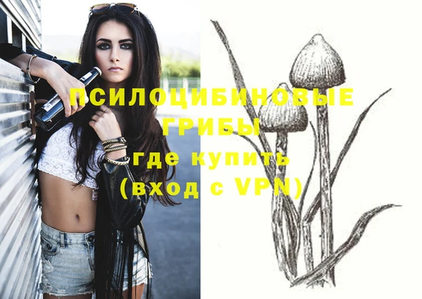 бутират Алексеевка