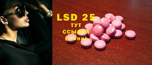 PSILOCYBIN Алзамай
