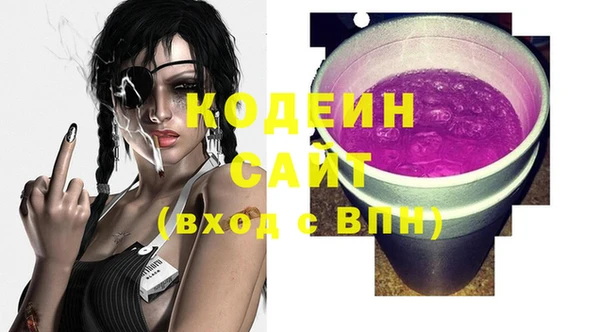 PSILOCYBIN Алзамай