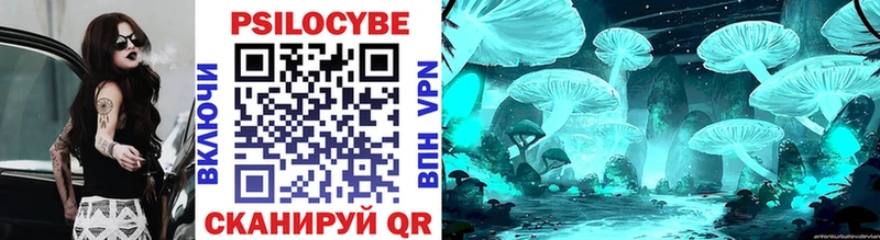 Купить где  Шумиха  Галлюциногенные грибы Magic Shrooms 
